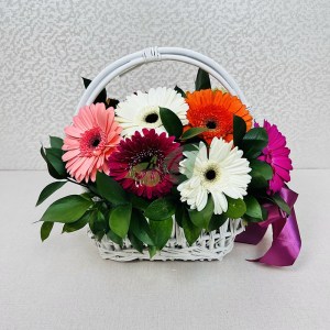 Крупные герберы разных цветов в корзине